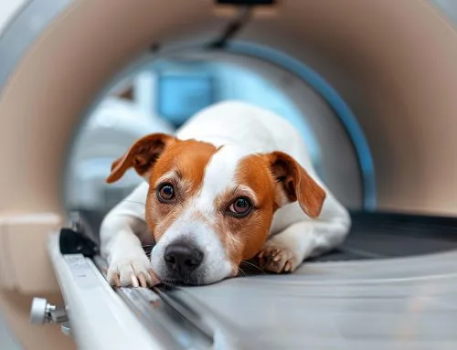 When Have Your Radiographs Reached Their Diagnostic Ceiling?