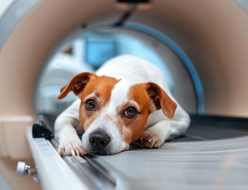 When Have Your Radiographs Reached Their Diagnostic Ceiling?