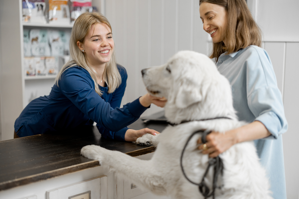 Veterinarian consulting with a dog owner during a routine health examination.